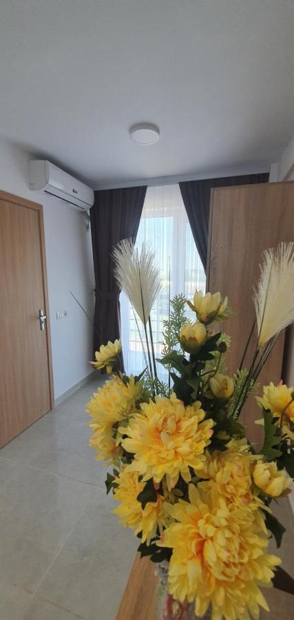 Hotel Ema Vama Veche Zewnętrze zdjęcie