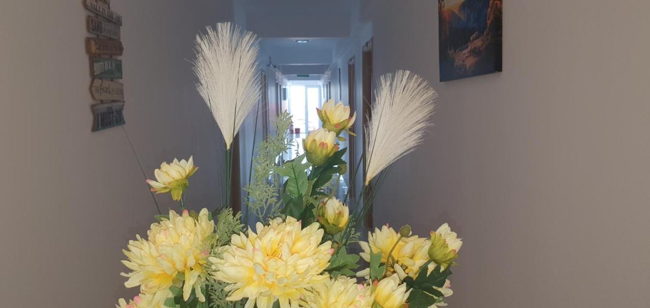 Hotel Ema Vama Veche Zewnętrze zdjęcie