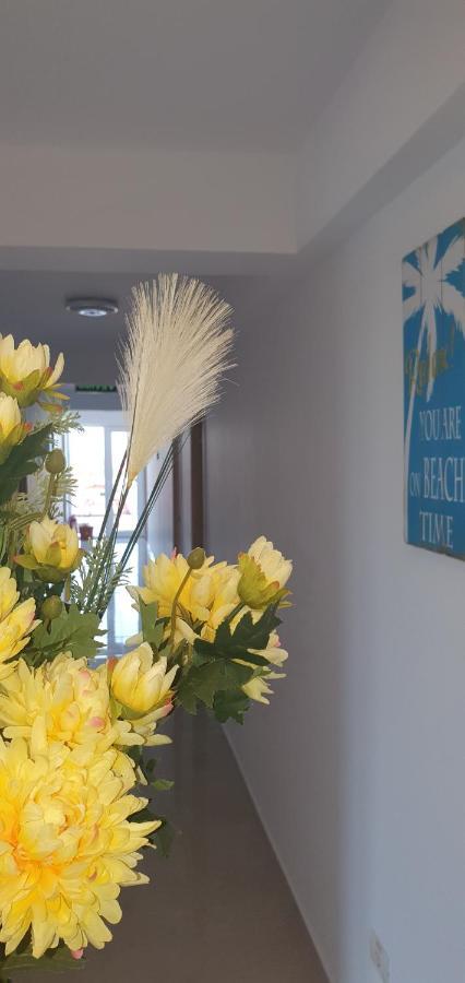 Hotel Ema Vama Veche Zewnętrze zdjęcie